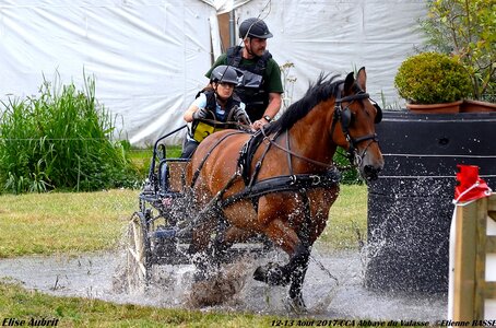 2017-08 CCA Valasse Chevaux et Traits, 29-DSC_1488