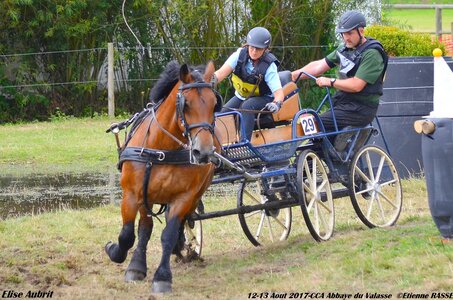 2017-08 CCA Valasse Chevaux et Traits, 29-DSC_1491