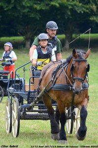 2017-08 CCA Valasse Chevaux et Traits, 29-DSC_1612