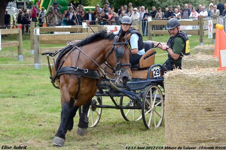2017-08 CCA Valasse Chevaux et Traits, 29-DSC_1615