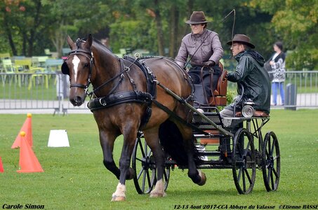 2017-08 CCA Valasse Chevaux et Traits, 30-0DSC_9793