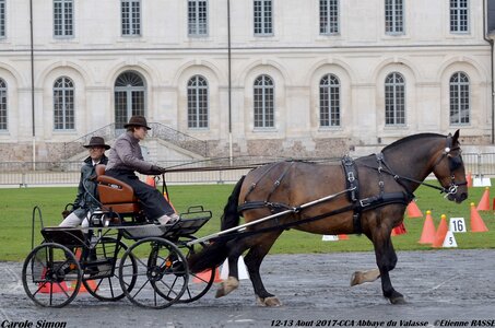 2017-08 CCA Valasse Chevaux et Traits, 30-0DSC_9797