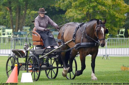 2017-08 CCA Valasse Chevaux et Traits, 30-0DSC_9804