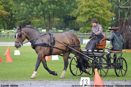 2017-08 CCA Valasse Chevaux et Traits, 30-0DSC_9806