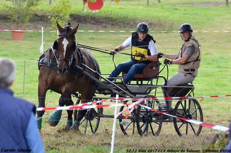 2017-08 CCA Valasse Chevaux et Traits, 30-DSC_0928