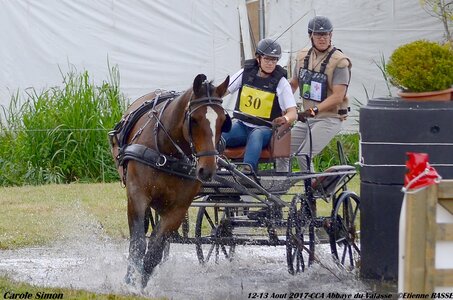 2017-08 CCA Valasse Chevaux et Traits, 30-DSC_0983