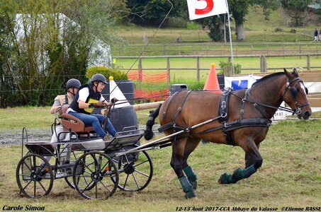 2017-08 CCA Valasse Chevaux et Traits, 30-DSC_0994
