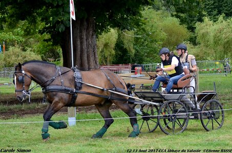 2017-08 CCA Valasse Chevaux et Traits, 30-DSC_1085