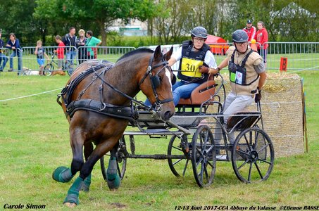 2017-08 CCA Valasse Chevaux et Traits, 30-DSC_1161