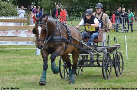 2017-08 CCA Valasse Chevaux et Traits, 30-DSC_1166