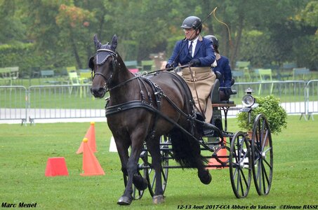 2017-08 CCA Valasse Chevaux et Traits, 32-0DSC_9856