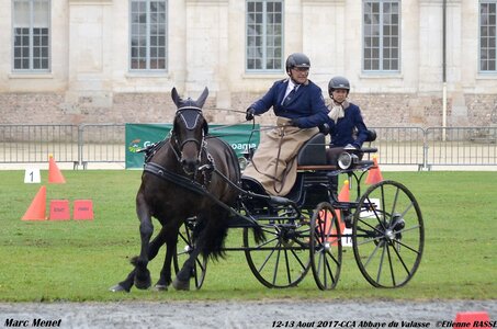 2017-08 CCA Valasse Chevaux et Traits, 32-0DSC_9857