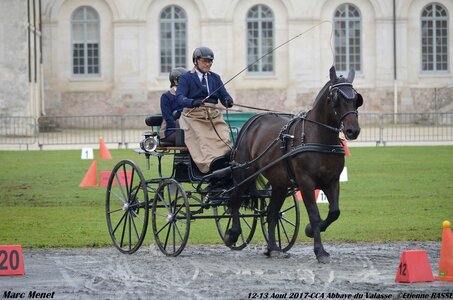 2017-08 CCA Valasse Chevaux et Traits, 32-0DSC_9864