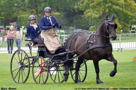 2017-08 CCA Valasse Chevaux et Traits, 32-0DSC_9866