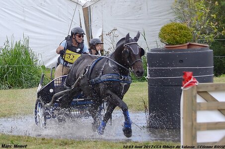 2017-08 CCA Valasse Chevaux et Traits, 32-DSC_1109