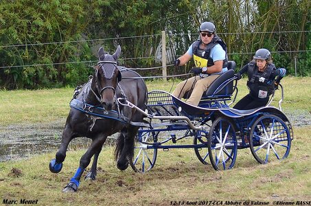 2017-08 CCA Valasse Chevaux et Traits, 32-DSC_1122