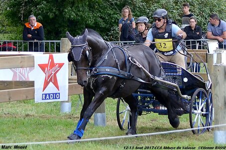 2017-08 CCA Valasse Chevaux et Traits, 32-DSC_1180