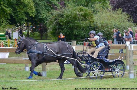 2017-08 CCA Valasse Chevaux et Traits, 32-DSC_1186