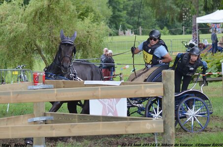 2017-08 CCA Valasse Chevaux et Traits, 32-DSC_1189