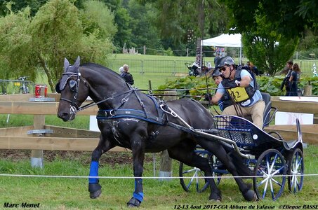 2017-08 CCA Valasse Chevaux et Traits, 32-DSC_1193