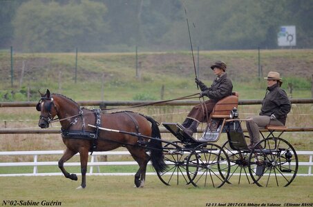2017-08 CCA Valasse Poneys, 02-0DSC_9302