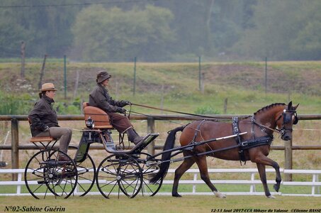 2017-08 CCA Valasse Poneys, 02-0DSC_9305