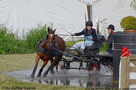 2017-08 CCA Valasse Poneys, 02-DSC_0168
