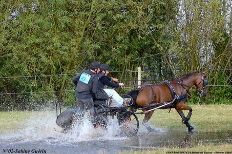 2017-08 CCA Valasse Poneys, 02DSC_0172