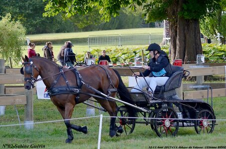2017-08 CCA Valasse Poneys, 02-DSC_0221