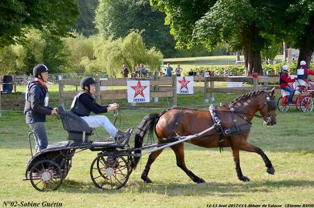 2017-08 CCA Valasse Poneys, 02-DSC_0271