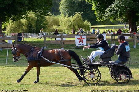 2017-08 CCA Valasse Poneys, 02-DSC_0280