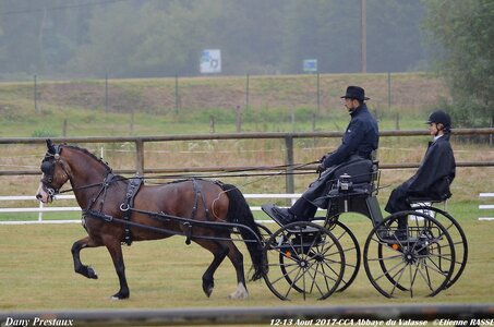 2017-08 CCA Valasse Poneys, 03-0DSC_9317