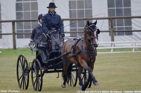 2017-08 CCA Valasse Poneys, 03-0DSC_9318