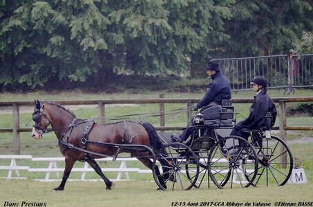 2017-08 CCA Valasse Poneys, 03-0DSC_9321