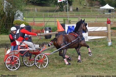 2017-08 CCA Valasse Poneys, 03-DSC_0196
