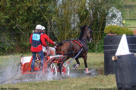 2017-08 CCA Valasse Poneys, 03-DSC_0197