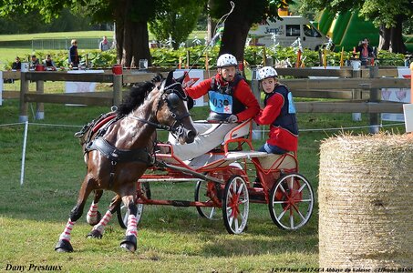 2017-08 CCA Valasse Poneys, 03-DSC_0316