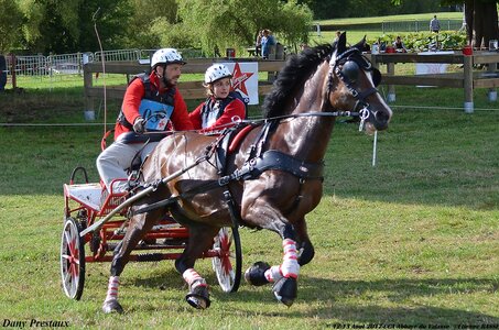 2017-08 CCA Valasse Poneys, 03-DSC_0325