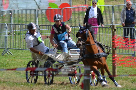 2017-08 CCA Valasse Poneys, 04-DSC_2030