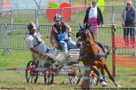 2017-08 CCA Valasse Poneys, 04-DSC_2030_Apres