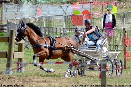 2017-08 CCA Valasse Poneys, 04-DSC_2033
