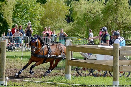 2017-08 CCA Valasse Poneys, 04-DSC_2260