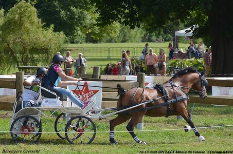 2017-08 CCA Valasse Poneys, 04-DSC_2266