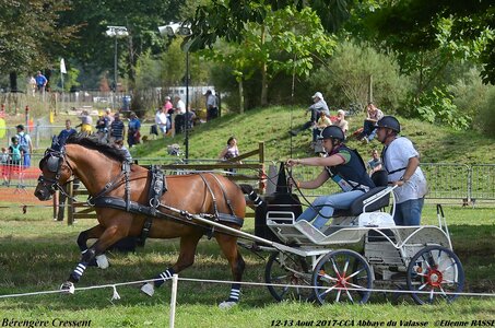 2017-08 CCA Valasse Poneys, 04-DSC_2273
