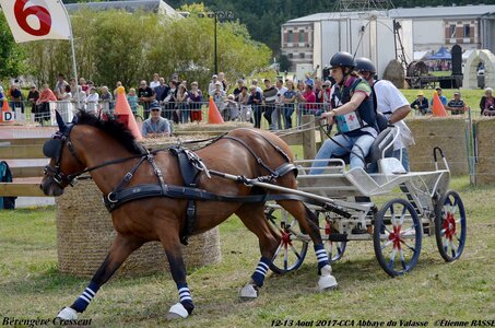 2017-08 CCA Valasse Poneys, 04-DSC_2306