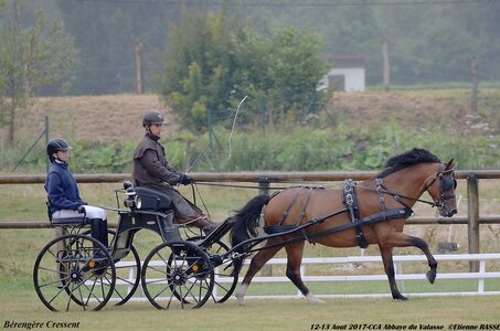 2017-08 CCA Valasse Poneys, 04-DSC_9333