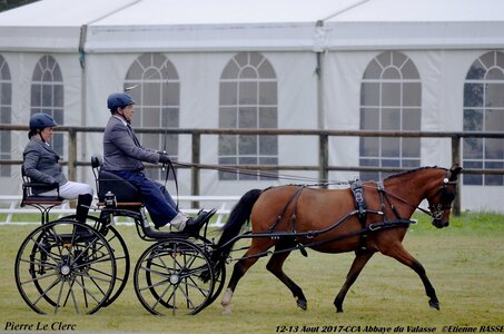 2017-08 CCA Valasse Poneys, 05-0DSC_9340