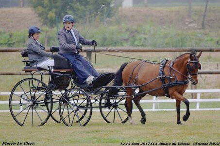 2017-08 CCA Valasse Poneys, 05-0DSC_9347
