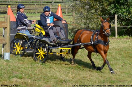 2017-08 CCA Valasse Poneys, 05-DSC_0240