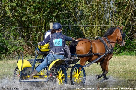2017-08 CCA Valasse Poneys, 05-DSC_0253
